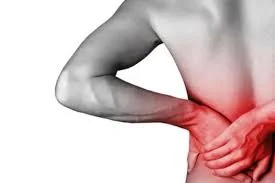 Profissional de quiropraxia realizando atendimento na Clínica Sphera