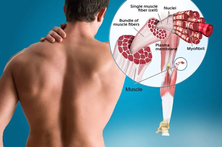Profissional de quiropraxia realizando atendimento na Clínica Sphera